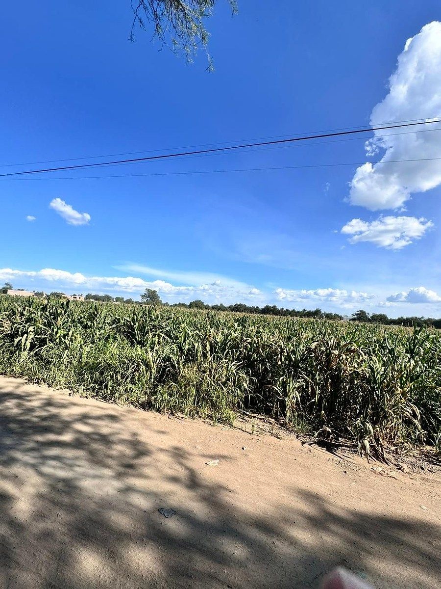 Terreno en Santiago Apóstol, Silao De La Victoria, foto 11 de 12