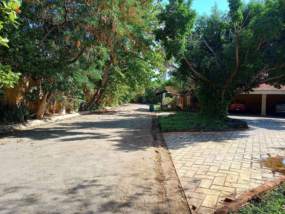 Terreno en San Ramon Norte, Mérida, foto 12 de 24