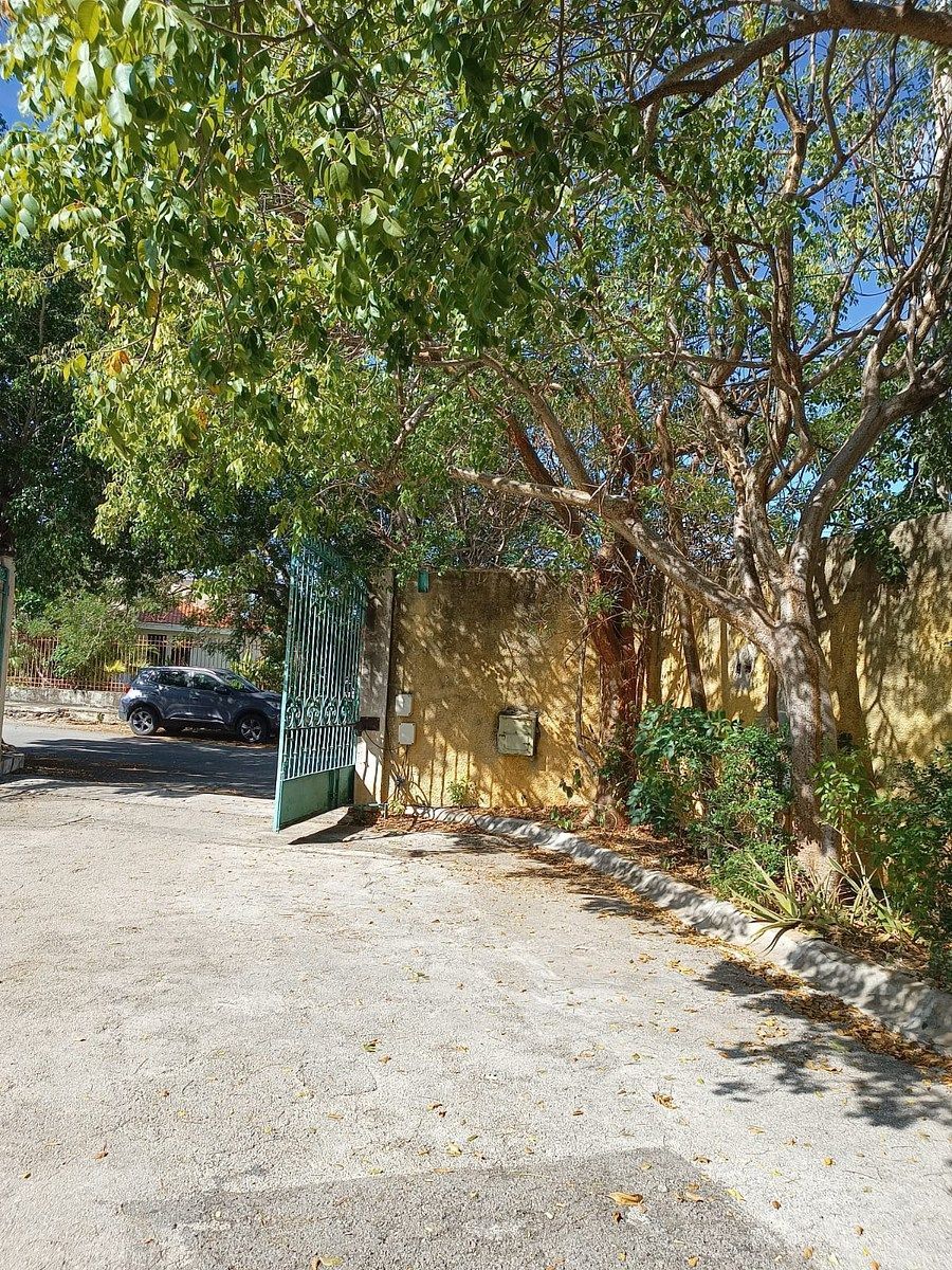 Terreno en San Ramon Norte, Mérida, foto 19 de 24