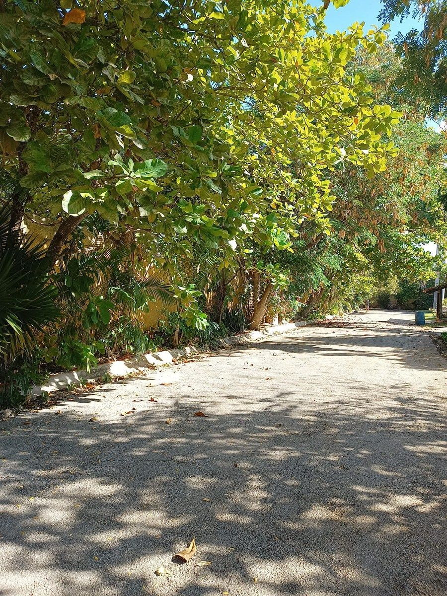 Terreno en San Ramon Norte, Mérida, foto 20 de 24