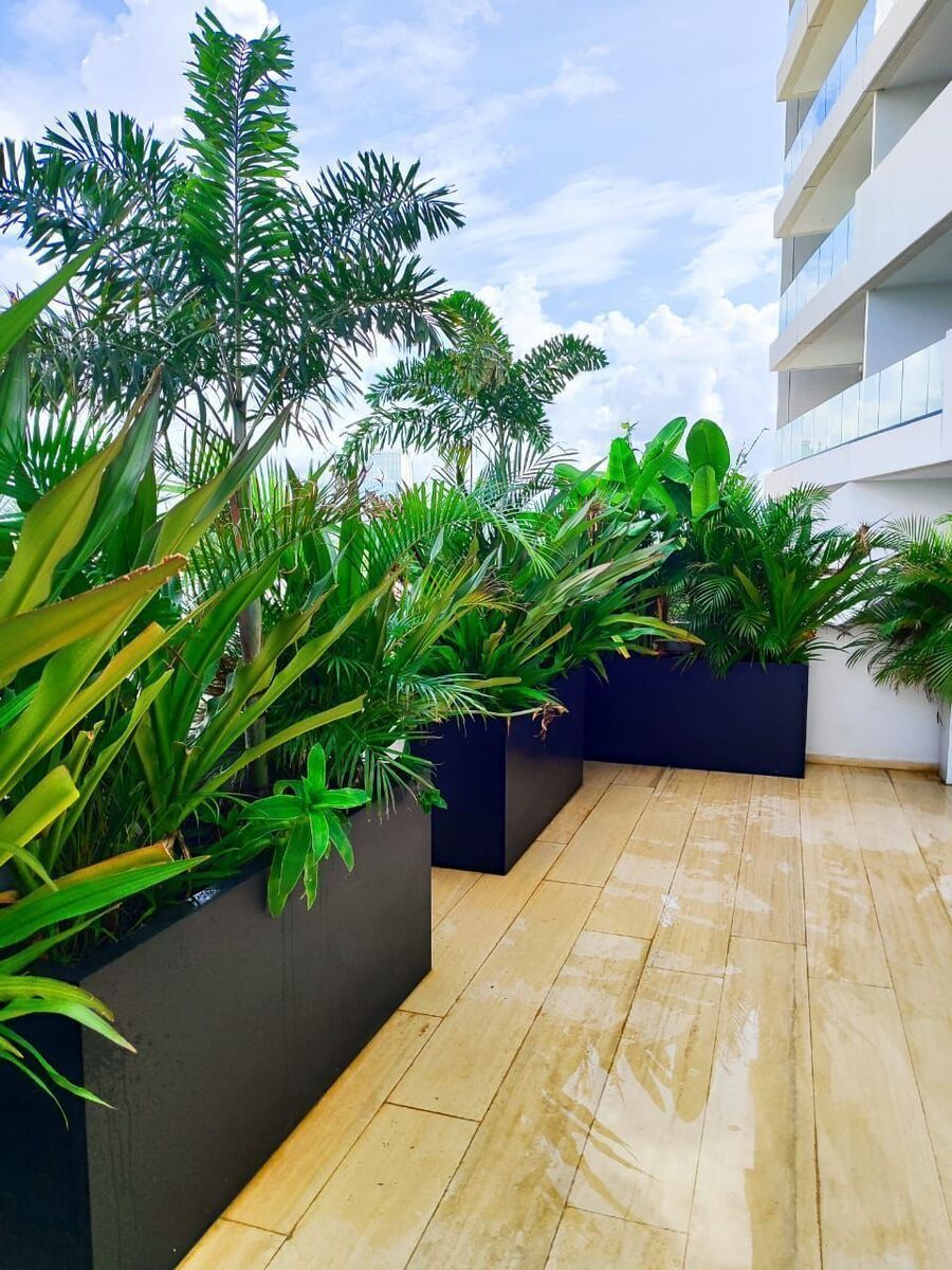 Departamento en San Ramon Norte, Mérida, foto 7 de 13