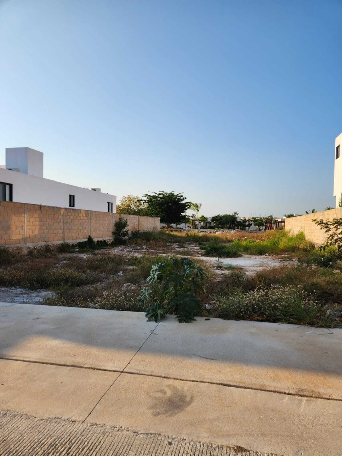 Lot in Tamanché, Mérida, photo 2 of 32