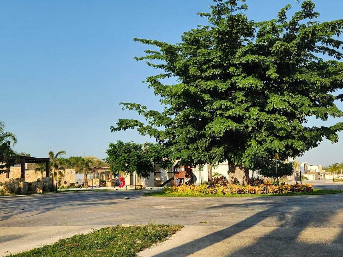 Lot in Tamanché, Mérida, photo 7 of 32