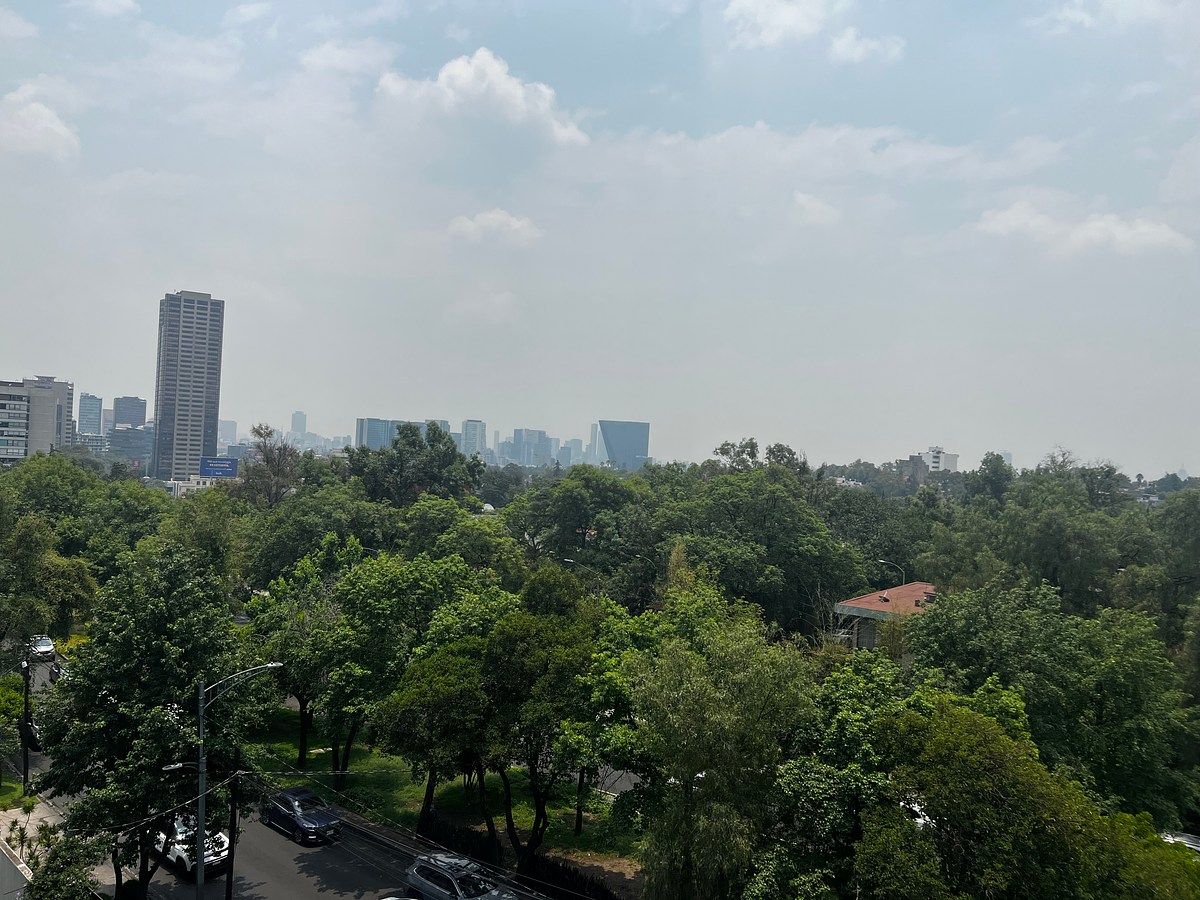 Local comercial en Lomas de Chapultepec I Sección, Miguel Hidalgo, foto 12 de 12