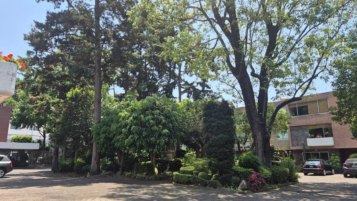 Casa en condominio en Tlacopac, Álvaro Obregón, foto 3 de 12