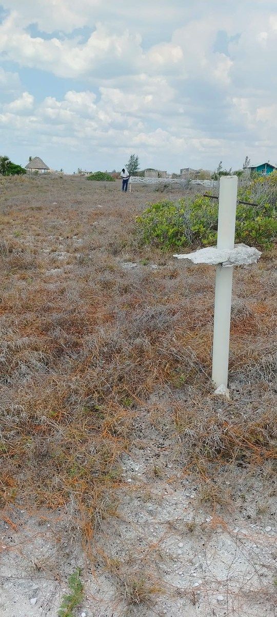 Lot in Arenal, Champotón, photo 3 of 48