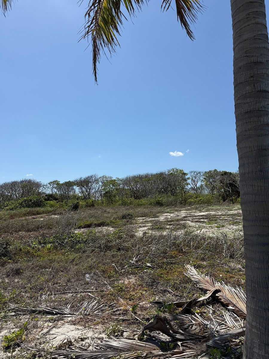 Lot in Arenal, Champotón, photo 15 of 48