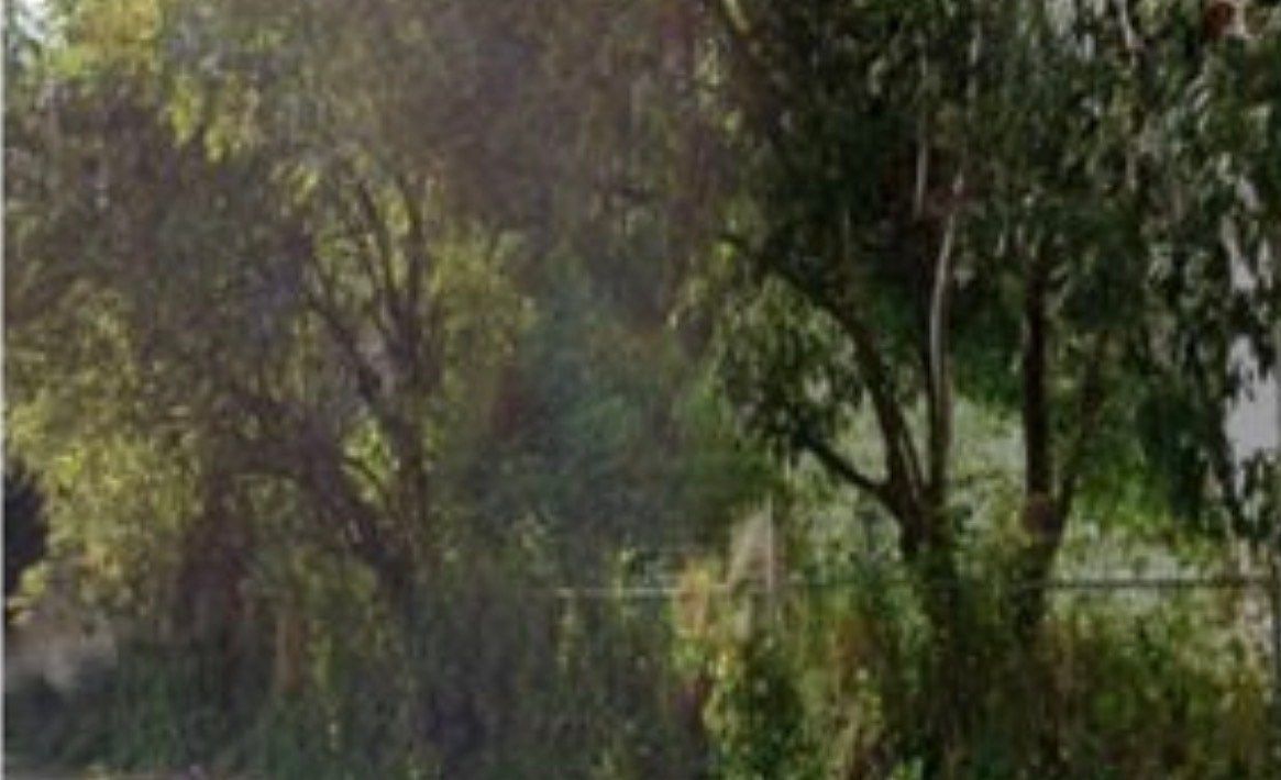 Terreno en Lomas Anáhuac, Huixquilucan, foto 3 de 8