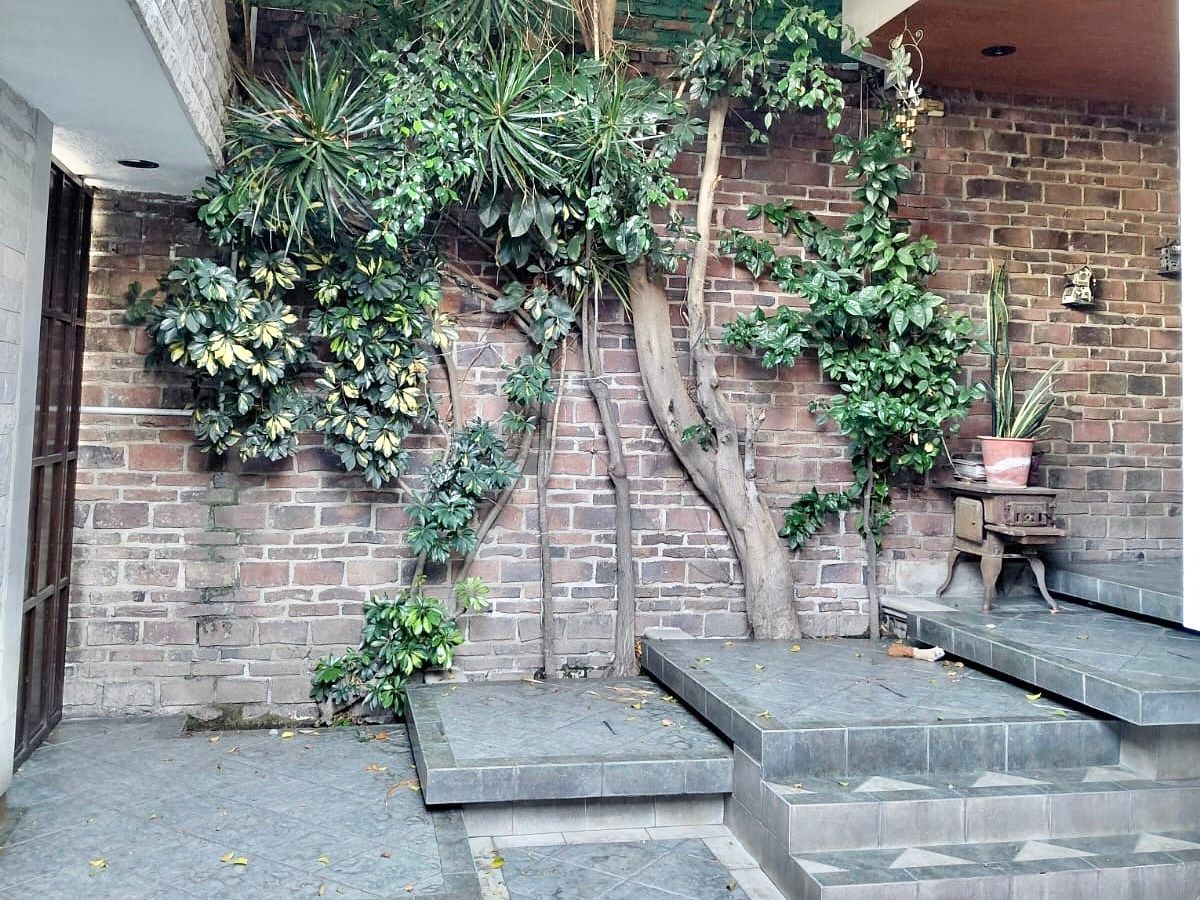 Casa em Petrolera Taxqueña, Coyoacán, foto 15 de 15