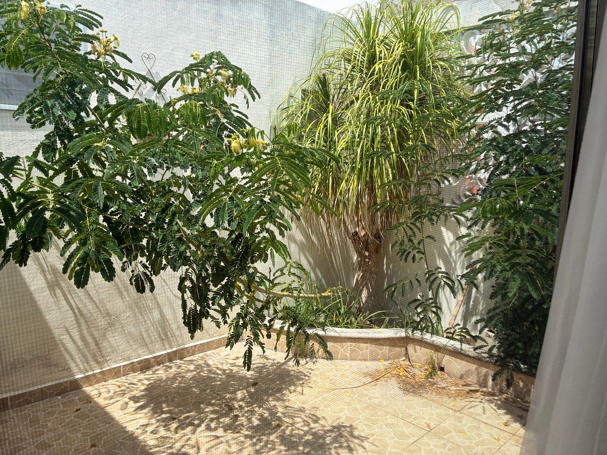 Casa en Francisco de Montejo, Mérida, foto 3 de 10
