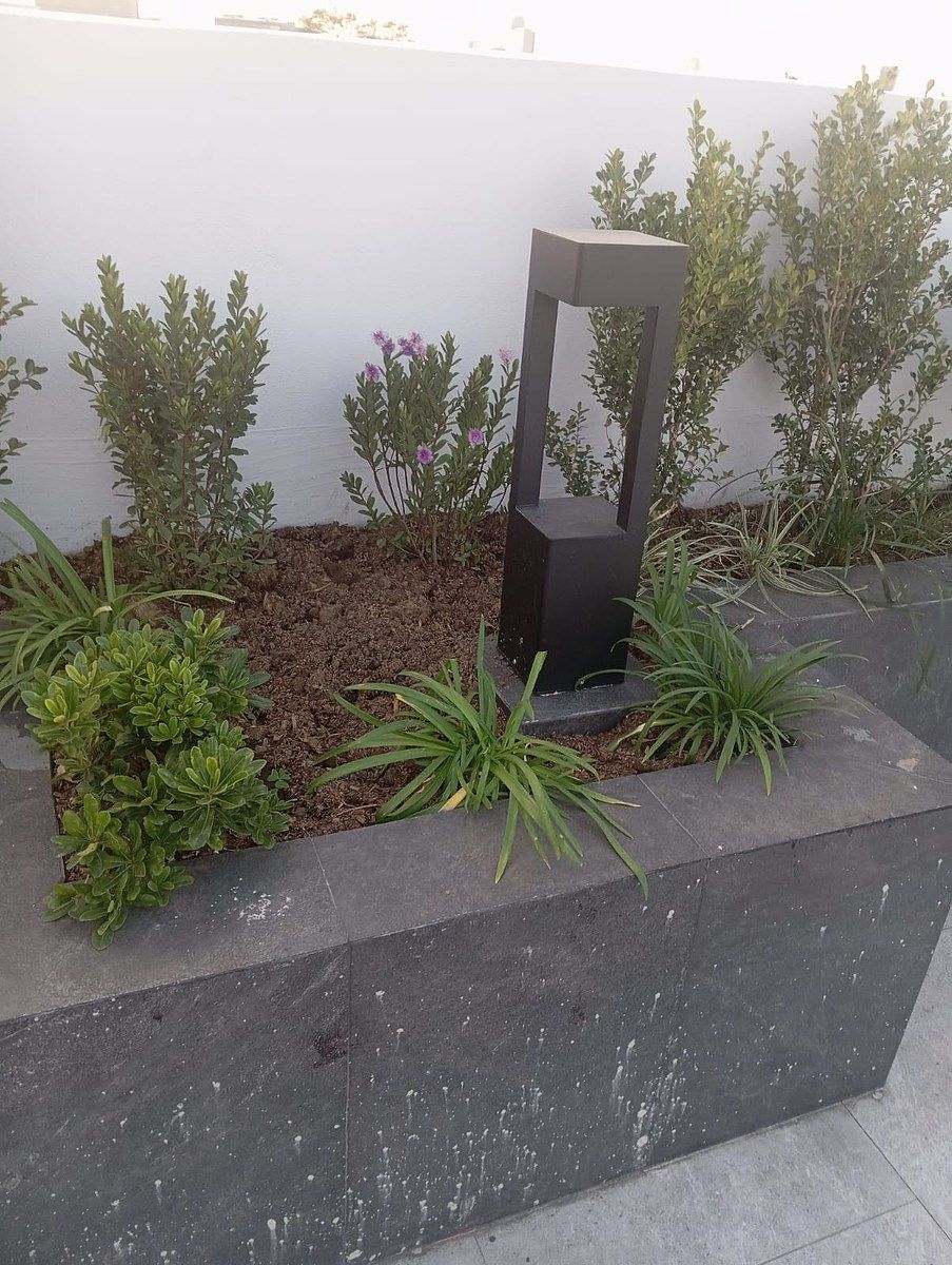 Apartamento em Independencia, Benito Juárez, foto 3 de 31