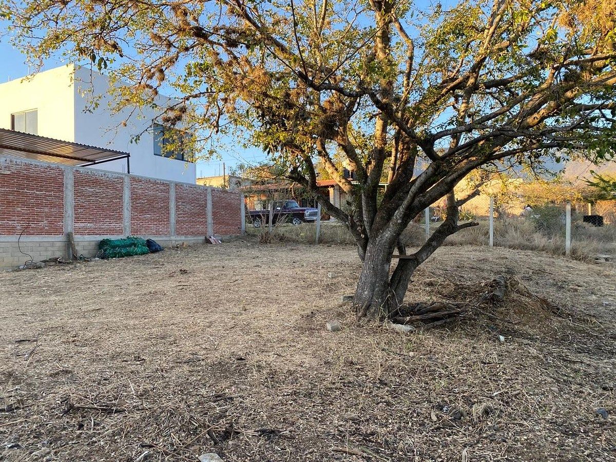 Terreno en San Agustin Yatareni, San Agustín Yatareni, foto 4 de 6