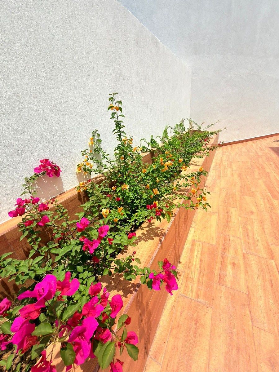 Casa en condominio en Residencial San Carlos, León, foto 11 de 17