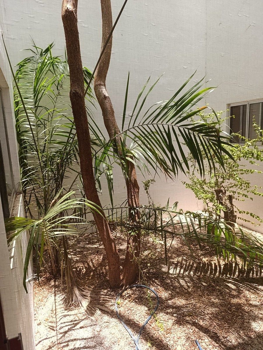 Apartamento em Residencial Campocielo, Mérida, foto 4 de 13