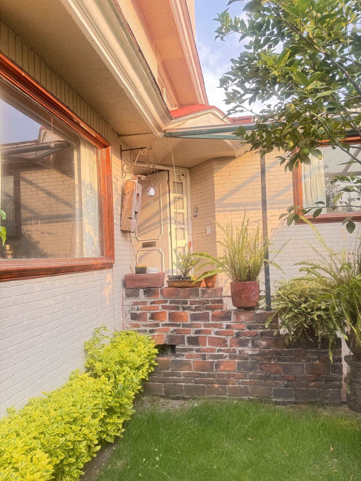 House in Gated Community in San Jerónimo Lídice, La Magdalena Contreras, photo 31 of 34