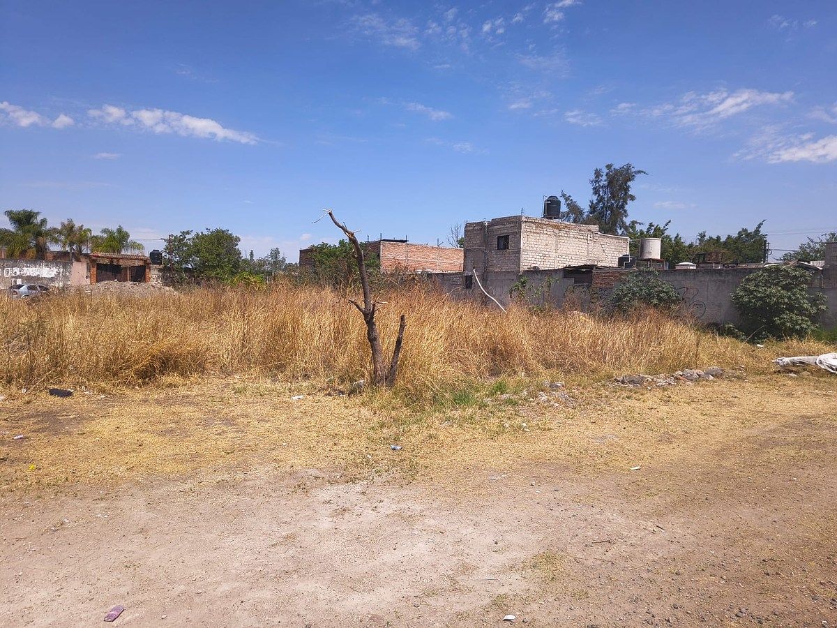 Terreno en San José del Castillo, El Salto, foto 5 de 7