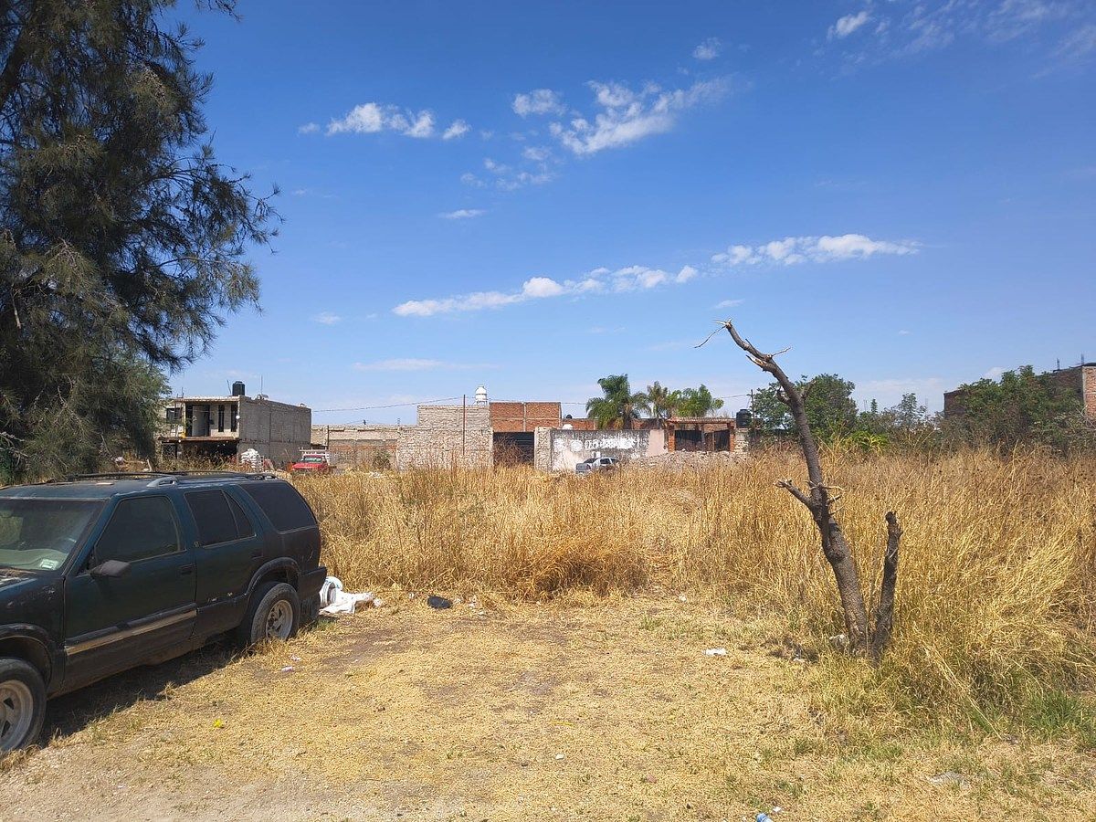 Terreno en San José del Castillo, El Salto, foto 7 de 7