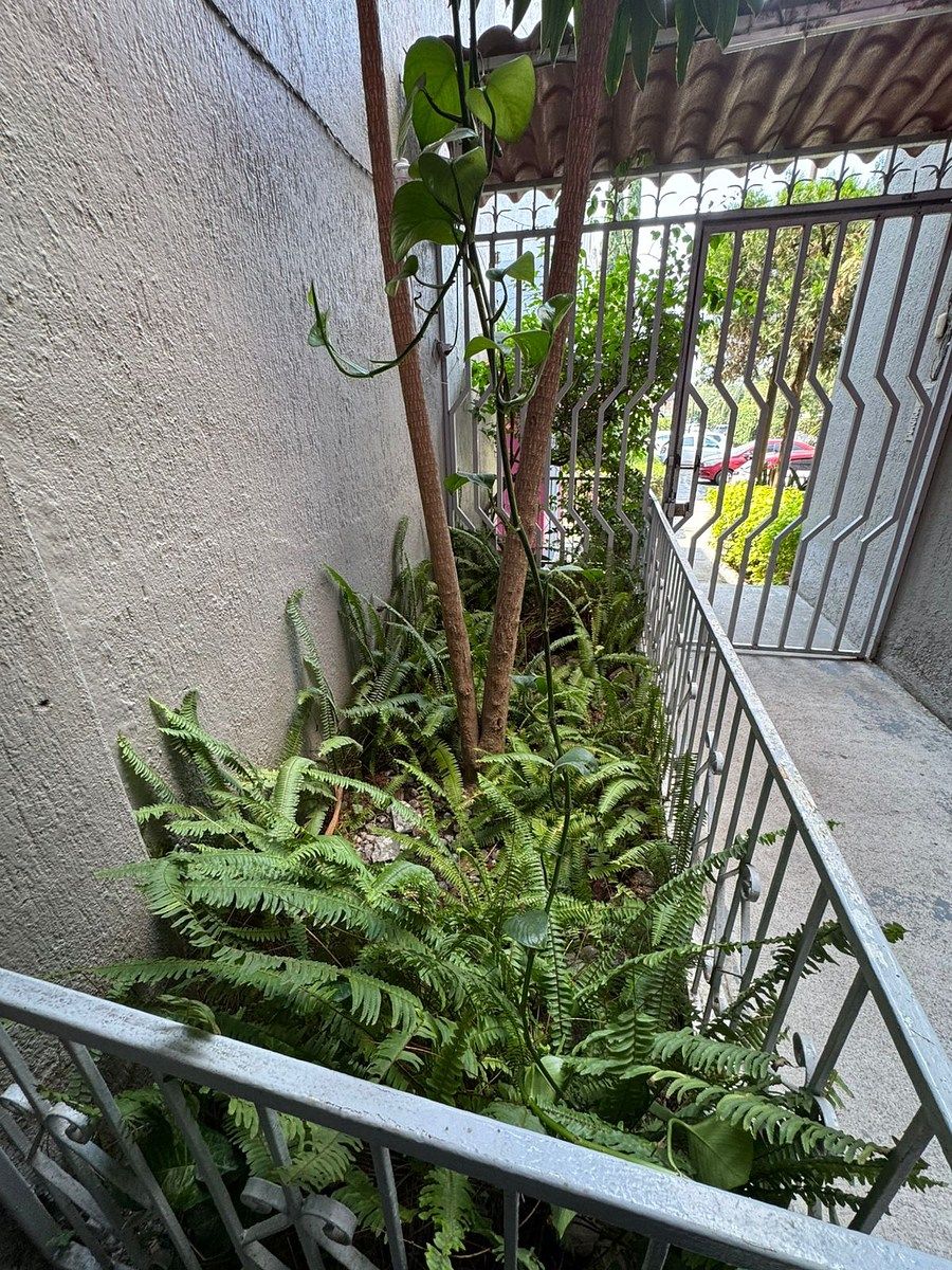Apartamento em Seattle, Zapopan, foto 5 de 23
