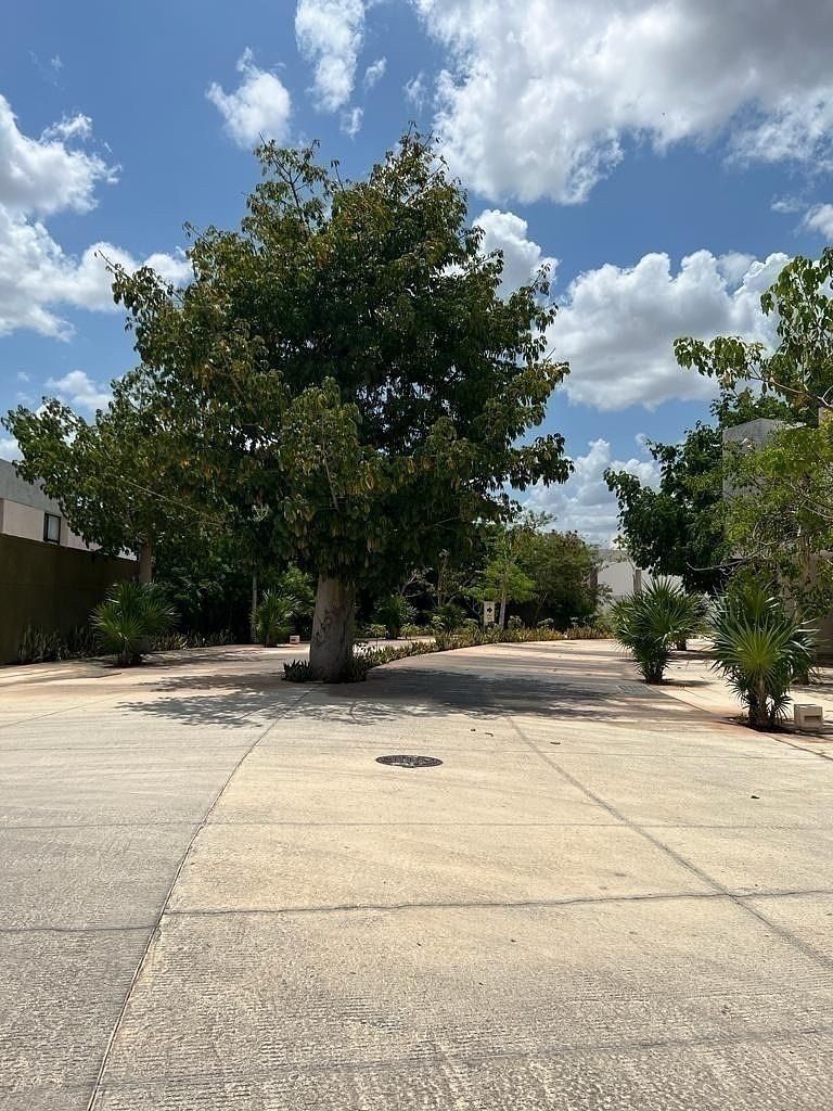 Casa en condominio en Santa Gertrudis Copo, Mérida, foto 31 de 38