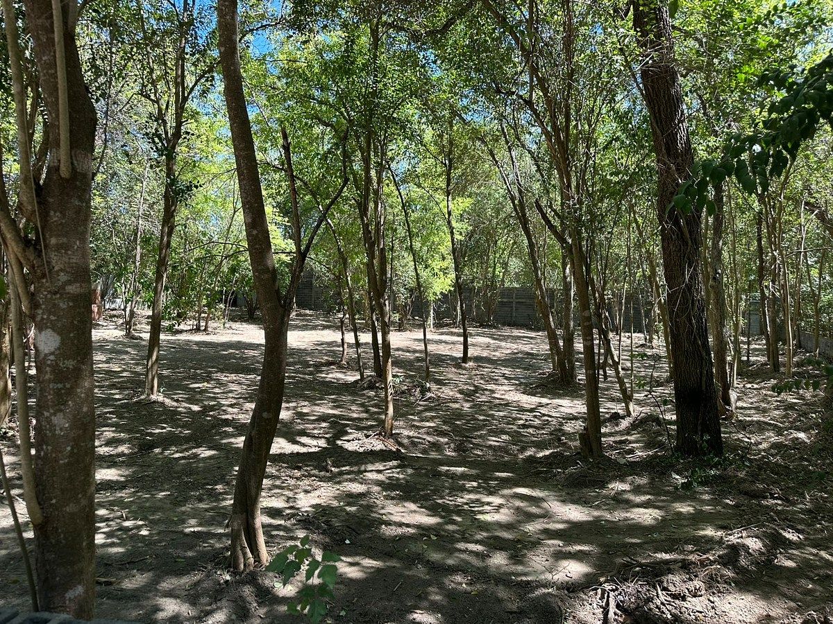 TERRENO RESIDENCIAL EN SANTIAGO VENTA, foto 1 de 5