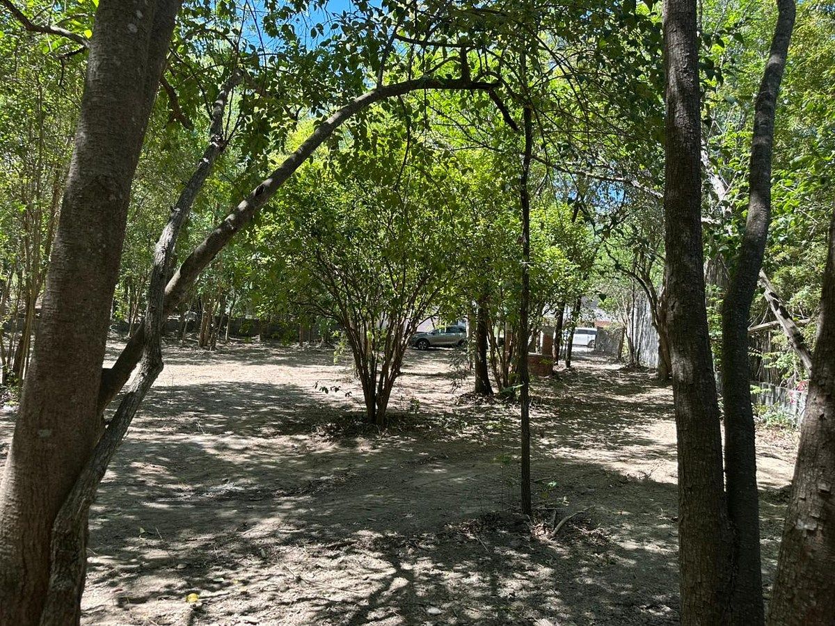 Lote em El Cercado Centro, Santiago, foto 4 de 5