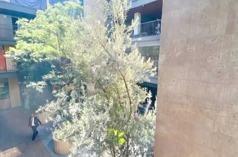 Loja em shopping em Lomas de Chapultepec I Sección, Miguel Hidalgo, foto 10 de 12