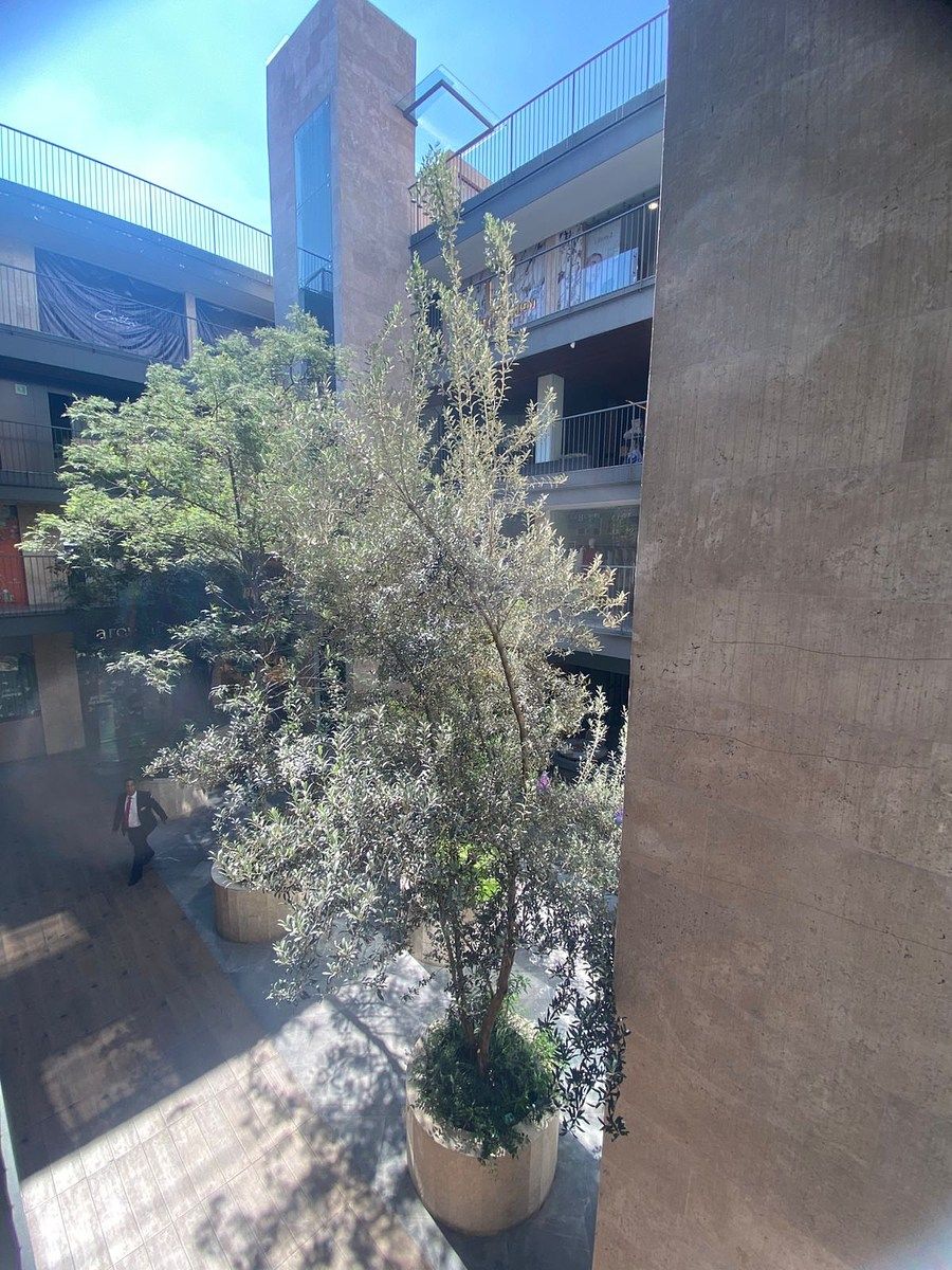 Local en centro comercial en Lomas de Chapultepec I Sección, Miguel Hidalgo, foto 10 de 13
