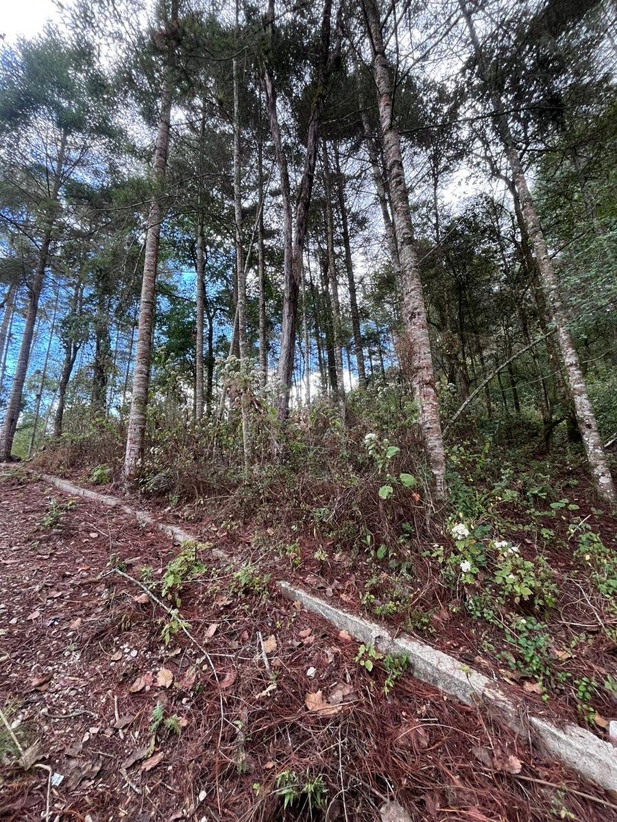 SE VENDE TERRENO EN EL HUITEPEC, foto 1 de 8