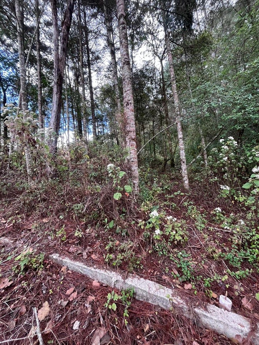 Terreno en Lomas de Huitepec, San Cristóbal de Las Casas, foto 2 de 8