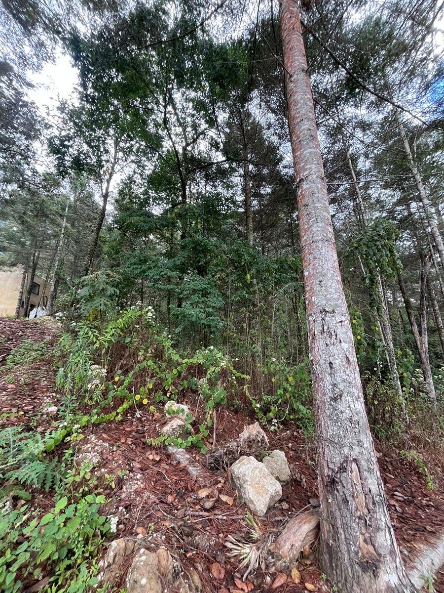 Terreno en Lomas de Huitepec, San Cristóbal de Las Casas, foto 4 de 8