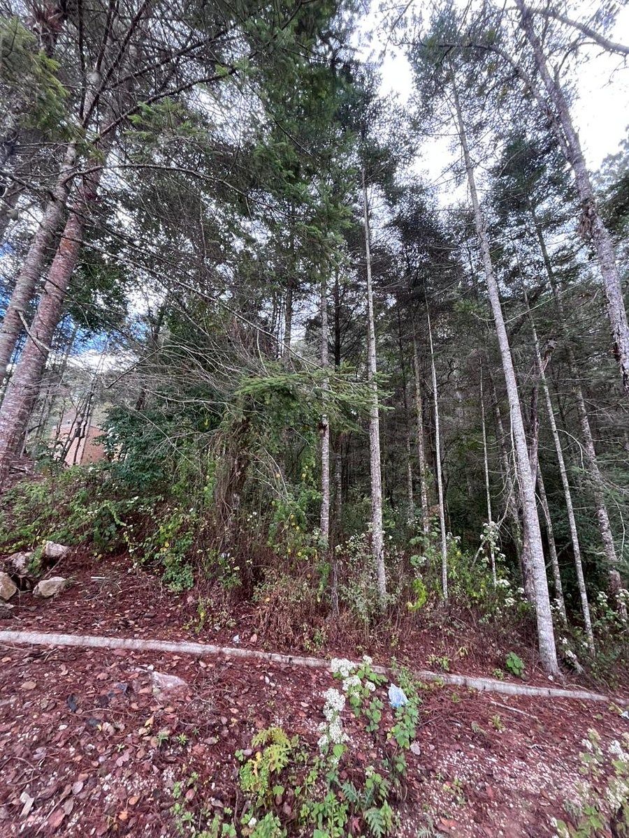 Terreno en Lomas de Huitepec, San Cristóbal de Las Casas, foto 6 de 8