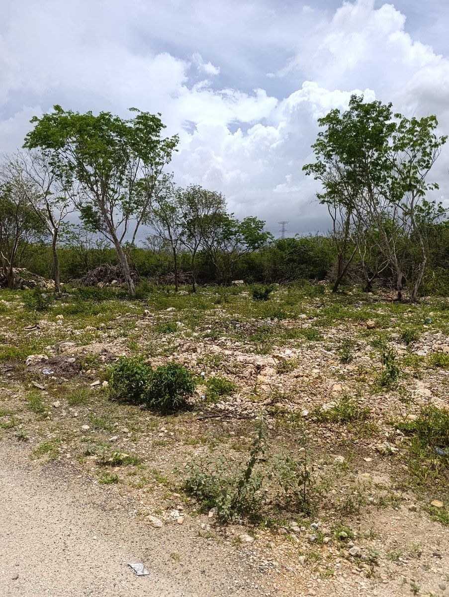 Lot in Temozón Norte, Mérida, photo 6 of 20