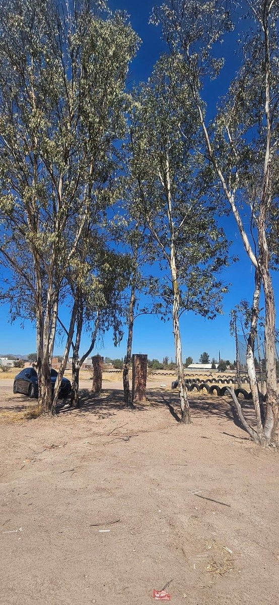 Lote em Montoro (Mesa del Salto), Aguascalientes, foto 13 de 17