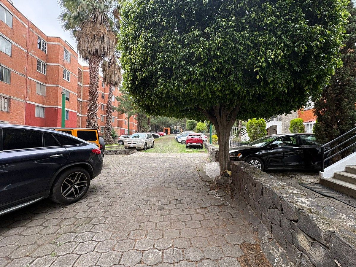 Apartment in Fuentes Brotantes, Tlalpan, photo 8 of 19