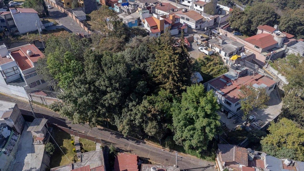 Commercial Lot in Manzanastitla, Cuajimalpa de Morelos, photo 3 of 11