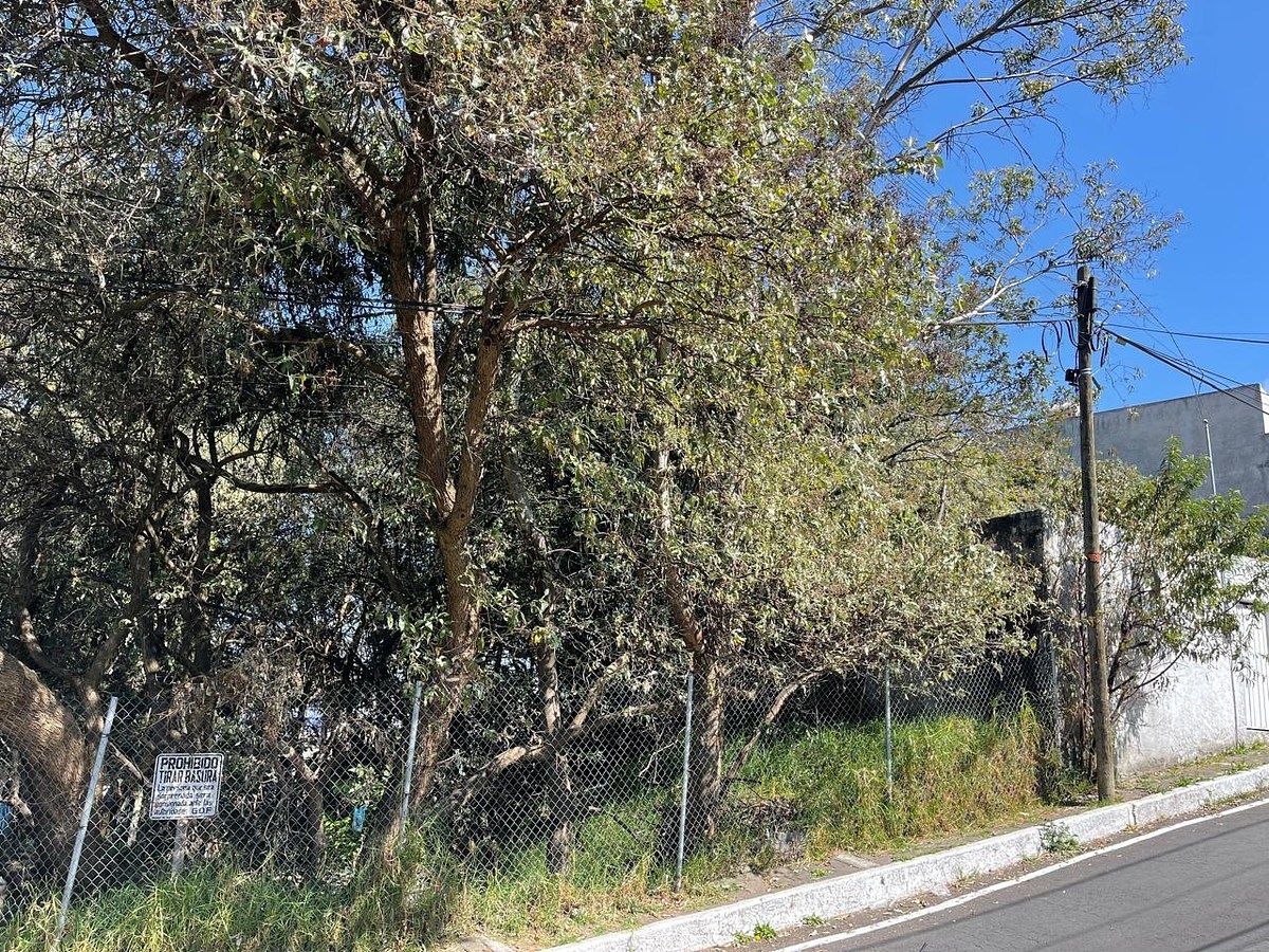 Commercial Lot in Manzanastitla, Cuajimalpa de Morelos, photo 7 of 11