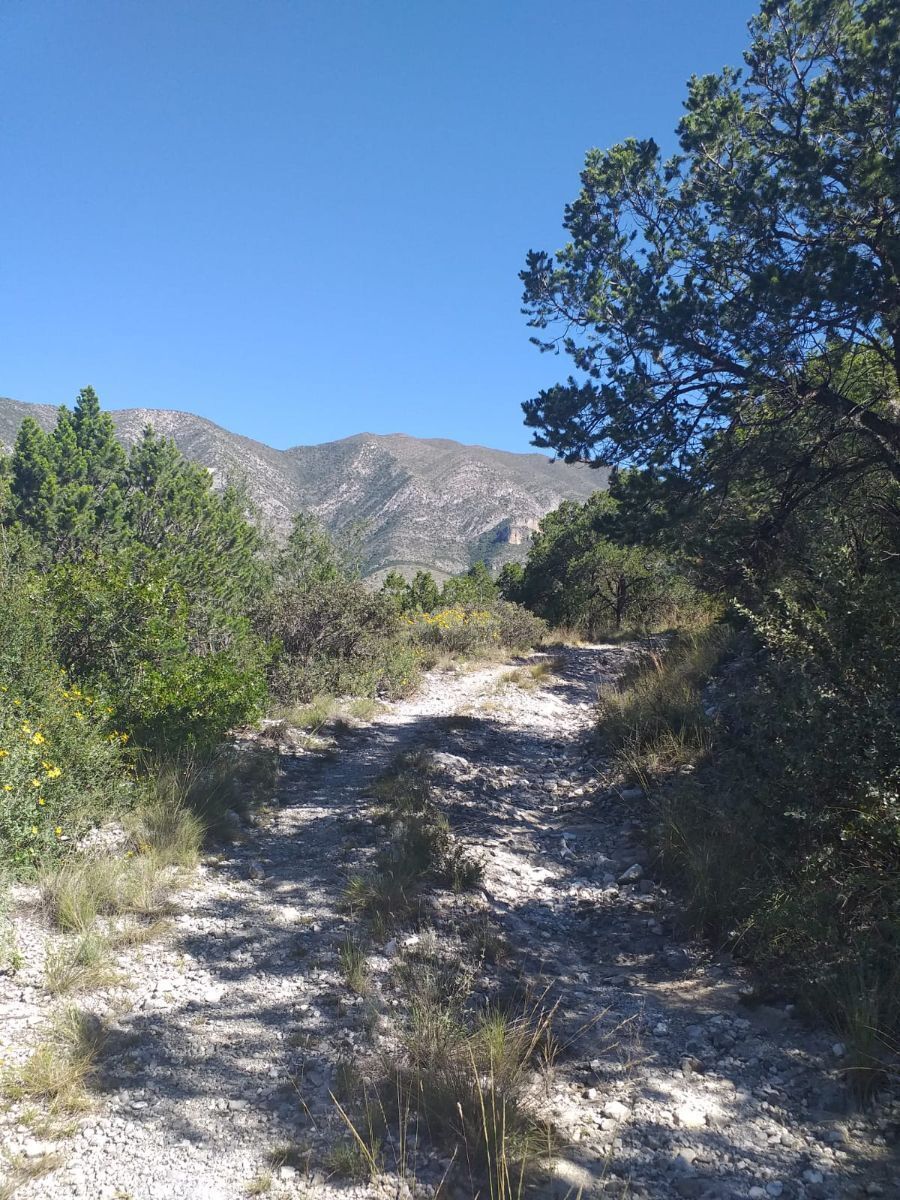 TERRENO EN VENTA EN ARTEAGA COAHUILA, foto 1 de 7