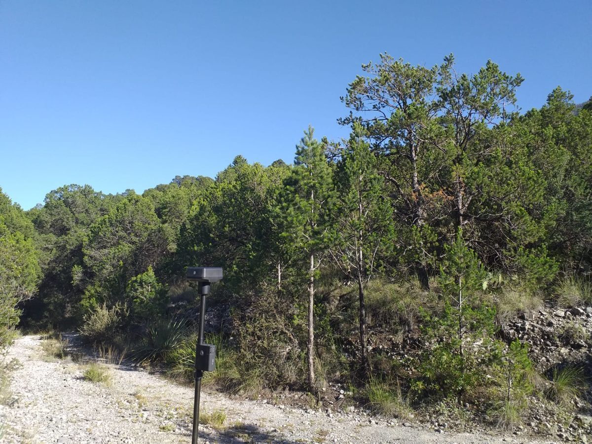 Terreno en San Isidro, Arteaga, foto 3 de 7