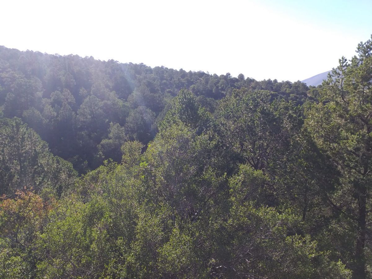 Terreno en San Isidro, Arteaga, foto 5 de 7