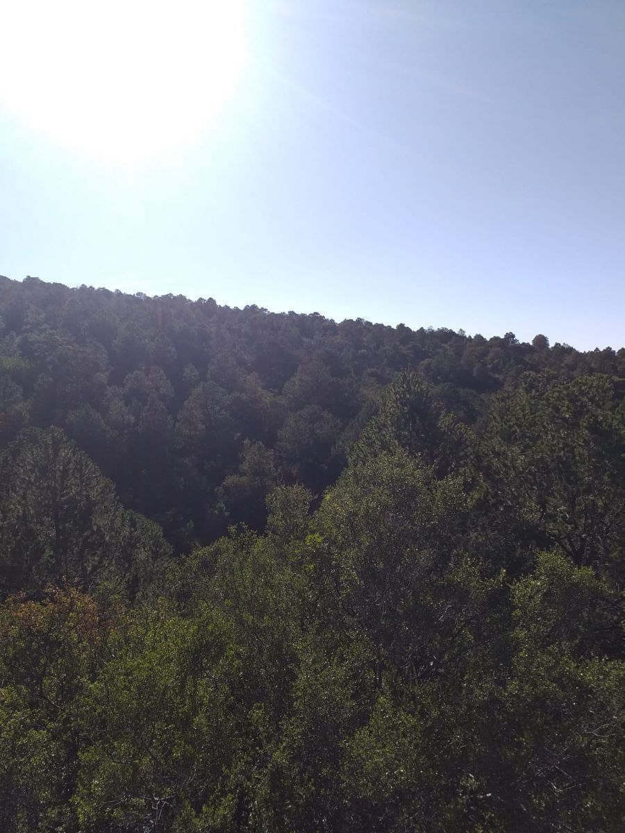 Terreno en San Isidro, Arteaga, foto 6 de 7