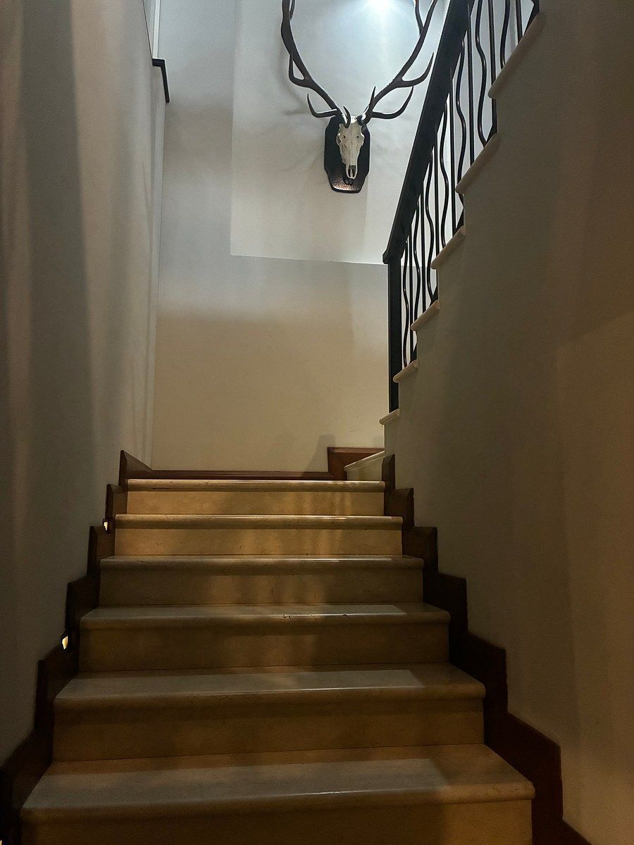 Casa en Palo Blanco, San Pedro Garza García, foto 4 de 20