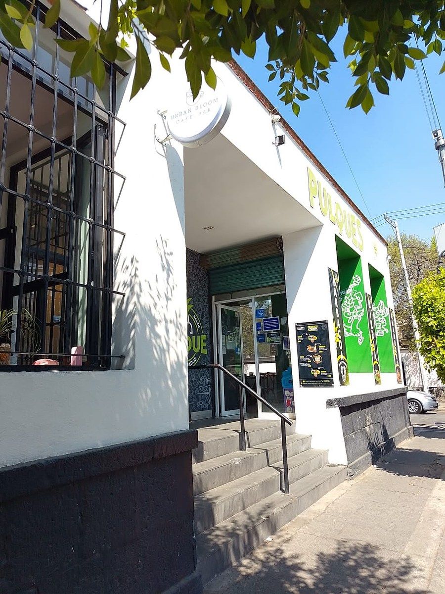 Lote comercial em Del Carmen, Coyoacán, foto 6 de 18