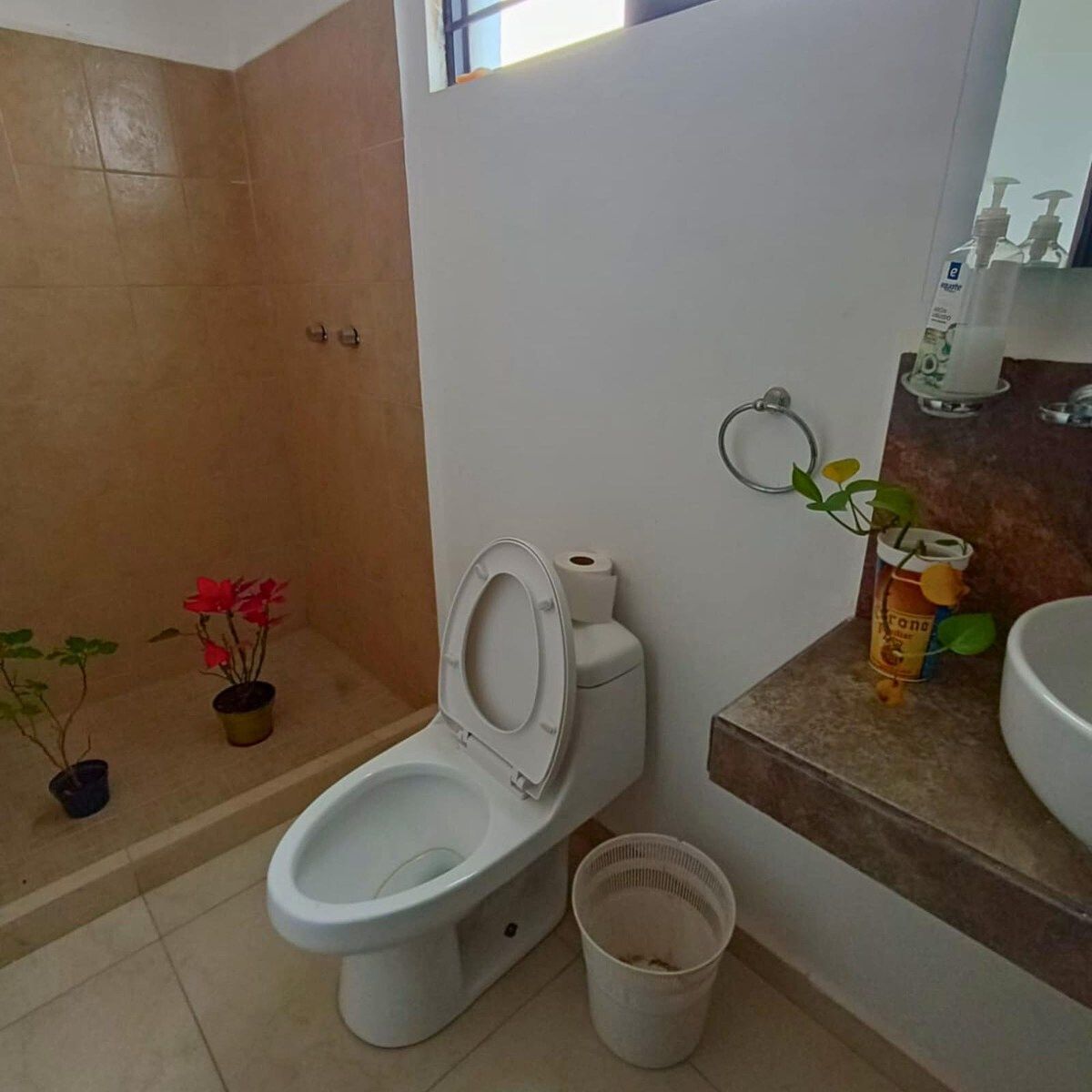 House in La Virgen, Soledad de Graciano Sánchez, photo 7 of 10