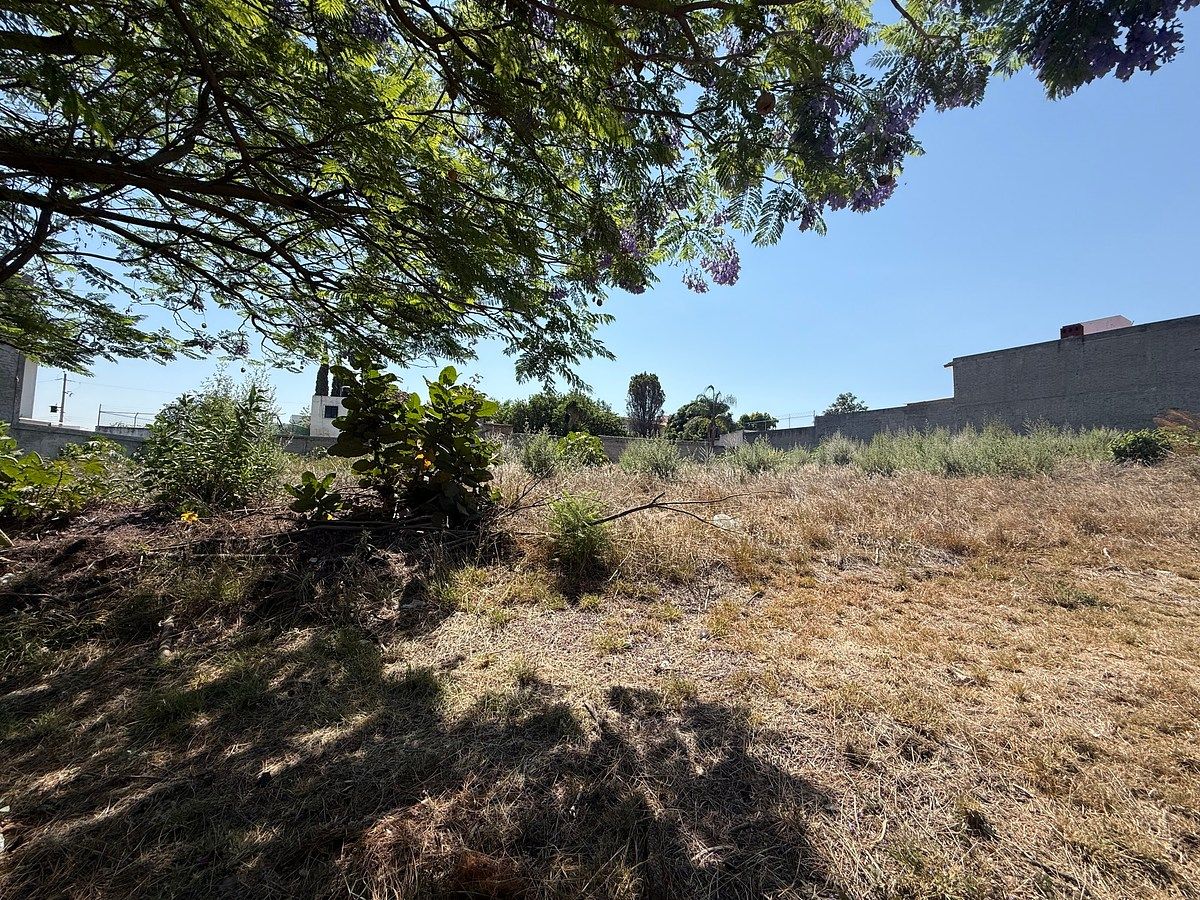 Terreno en Cortijo de San Agustin, Tlajomulco de Zúñiga, foto 8 de 8