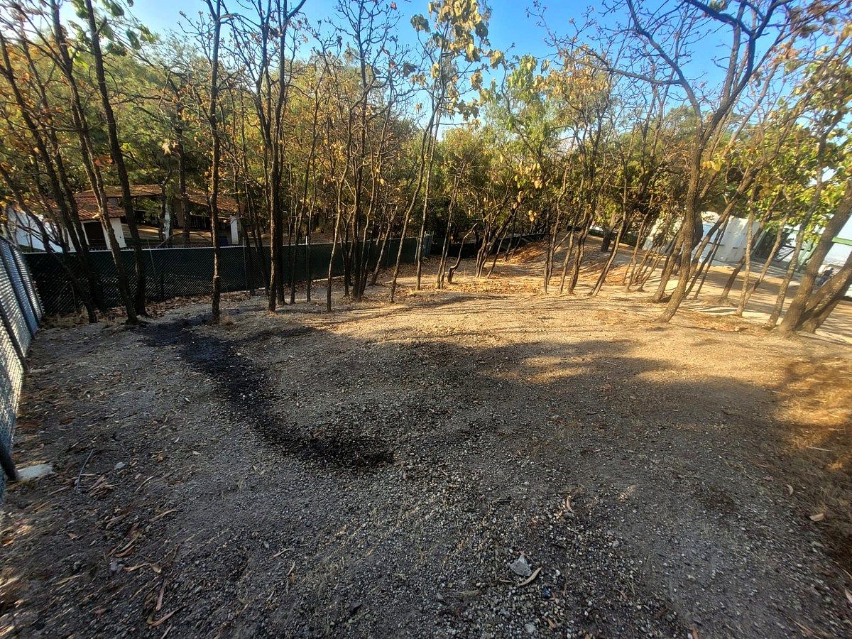 Casa em Santa Ana Tepetitlán, Zapopan, foto 11 de 31