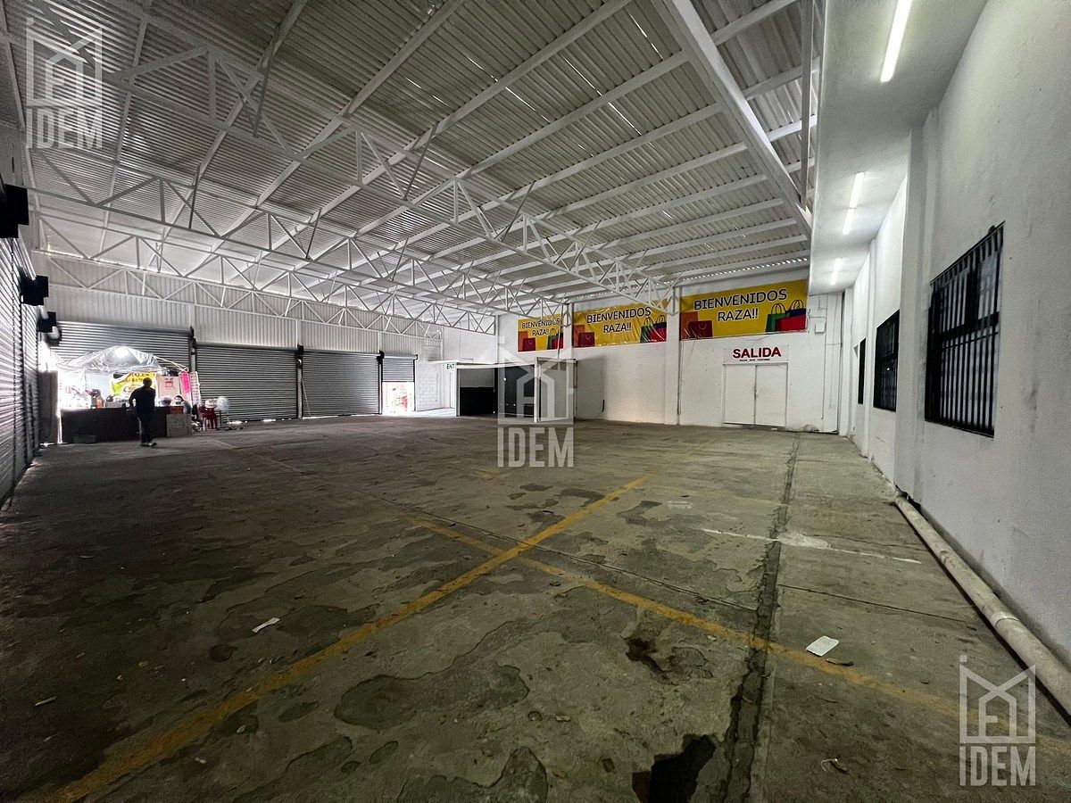 Commercial Storage Unit in Los Altos, Monterrey, photo 4 of 17