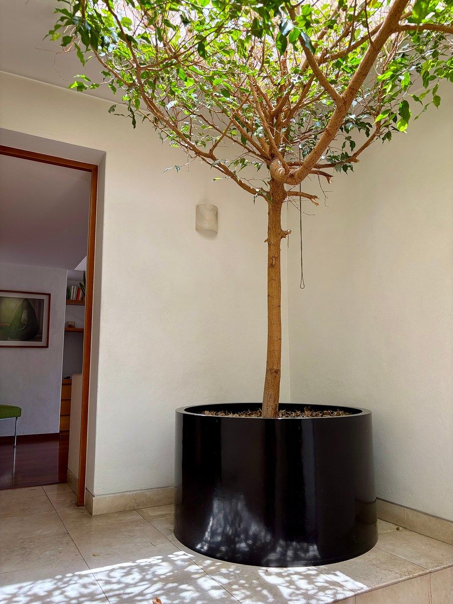 Casa en condominio en Jardines del Pedregal, Álvaro Obregón, foto 30 de 34