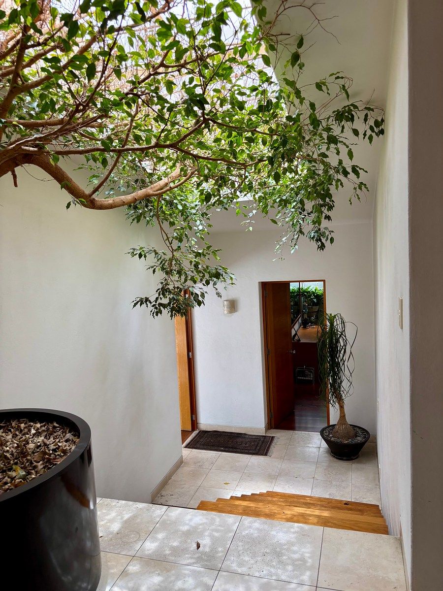 Casa en condominio en Jardines del Pedregal, Álvaro Obregón, foto 33 de 34