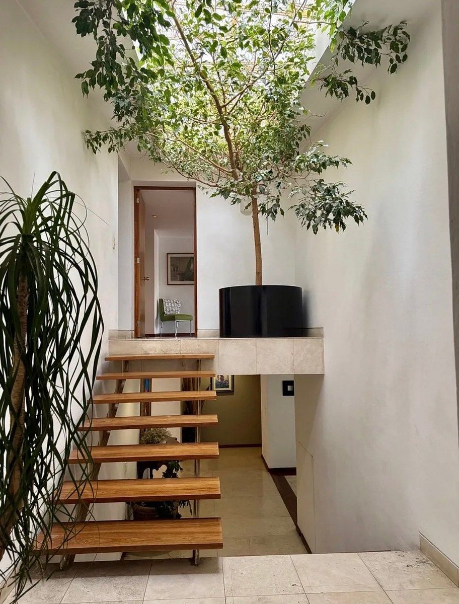 Casa en condominio en Jardines del Pedregal, Álvaro Obregón, foto 34 de 34