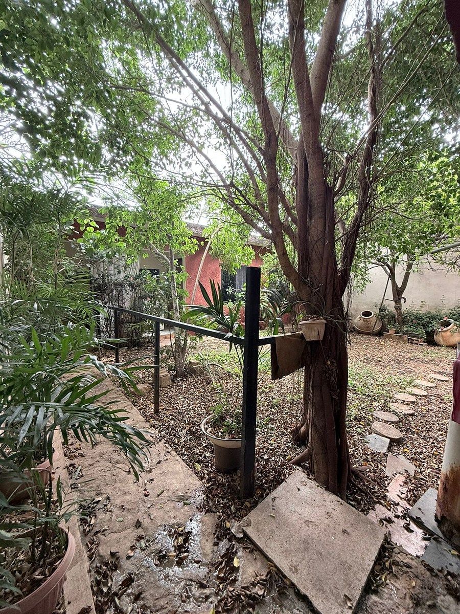 House in San Rafael, Campeche, photo 22 of 22